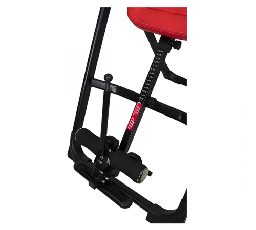 Инверсионный стол Scholle 01SL