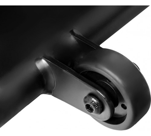 Беговая дорожка Titanium Masters Physiotech X-Compact