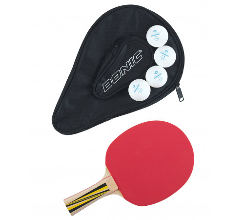 Набор для настольного тенниса Top Team 500, 1 ракетка, 4 мяча, чехол
