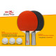 Набор для н/т Double Fish 2 ракетки и 3 мяча (301)